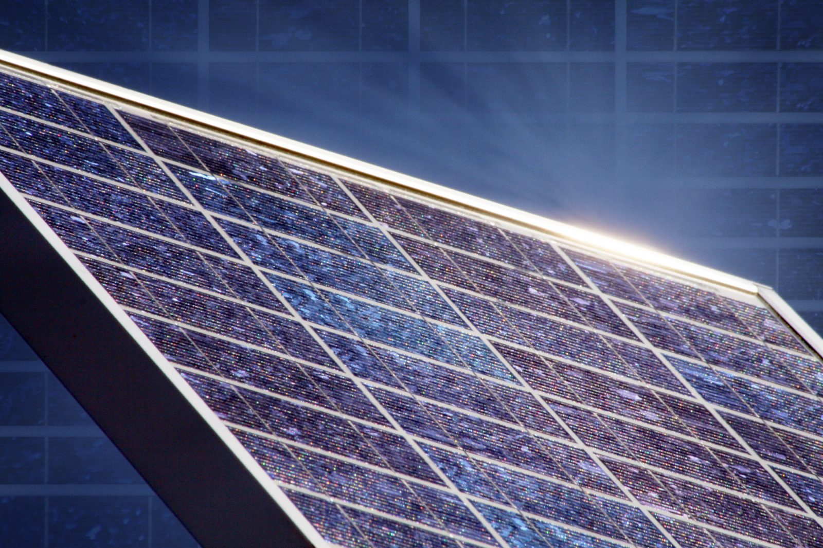 Kako u zadarskom prihvatilištu za životinje solarna elektrana smanjuje eutanaziju